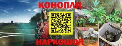 мдпв Пушкино