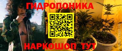 мдпв Пушкино