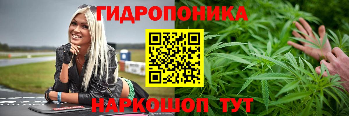 Бошки Шишки планчик  Шишки марихуана VHQ  Вход с VPN  Ростов Великий  Каннабис Ganja 